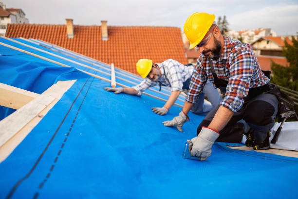 Best Gutter Installation and Roofing  in St Clairsville, OH